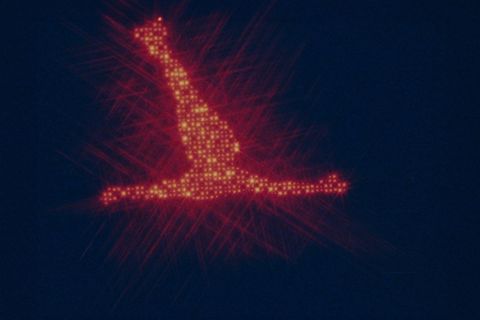 MudamLuxembourg RadioKilledAVideoStar web