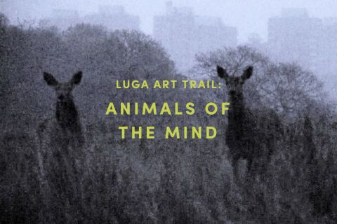 LUGA ART TRAIL ANIMALS OF THE MIND