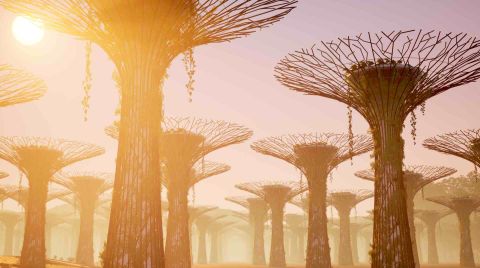 Alice-Bucknell,-Staring-at-the-Sun,-2025-2025-©-Alice-Bucknell_low