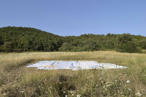 9. PASSERI APA2680 copia (2)