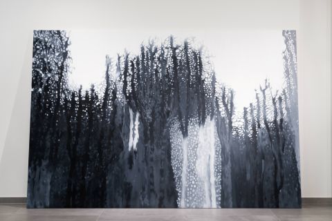 LayerVariation_Forcain_low