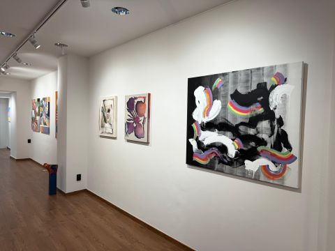 Dudelange,opening view 2