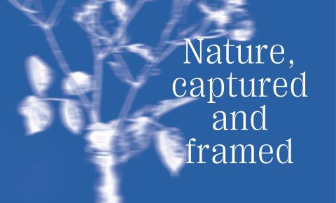 20250520_Nature-captured-framed_843*510